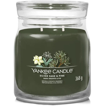 Silver Sage & Pine Signature Candle ( strieborná šalvia a borovica ) - Vonná sviečka
